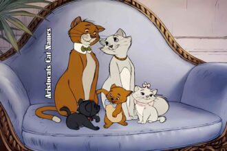 150 Aristocats Cat Names for Your Fairytale Feline