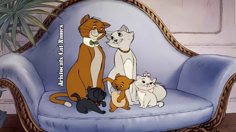 150 Aristocats Cat Names for Your Fairytale Feline