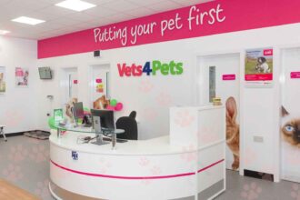 Cost of Cat Neutering at Vets4Pets