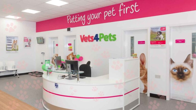 Cost of Cat Neutering at Vets4Pets