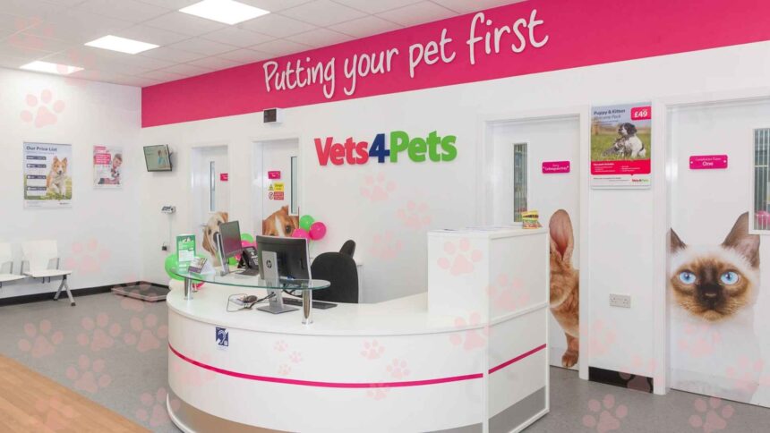 Cost of Cat Neutering at Vets4Pets