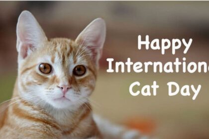 National Cat Day 2025