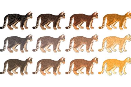 Tabby Cat