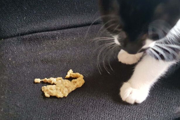 Cat Vomit Color