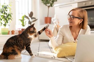 Vets For Kitten Care Basics vs Complete Care Plus Health Plan