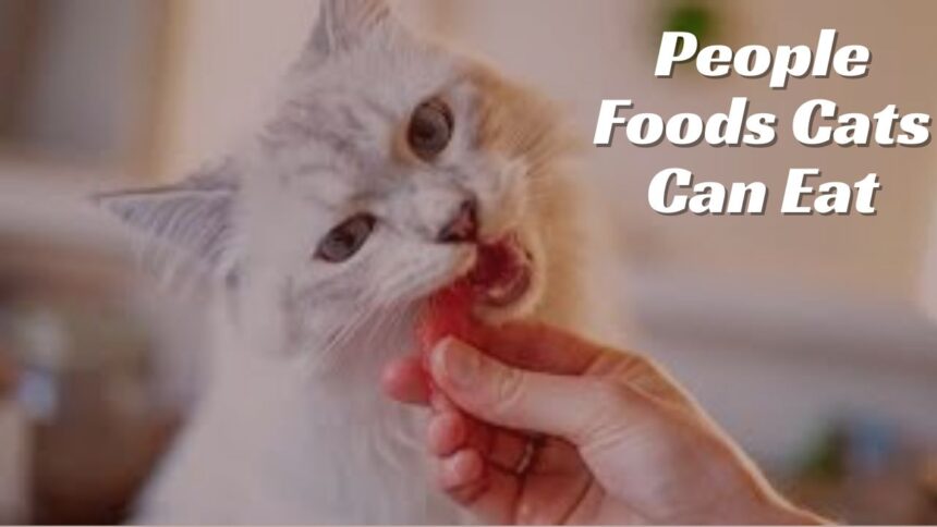People Foods Cats Can Eat