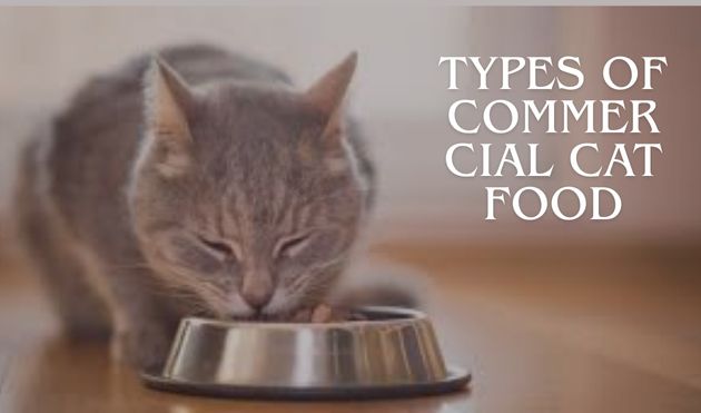 Types of  Commercial Cat Food