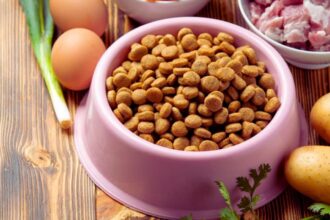 Best Ingredients for Homemade Cat Food: What Every Cat Parent Should Know