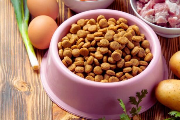 Best Ingredients for Homemade Cat Food: What Every Cat Parent Should Know