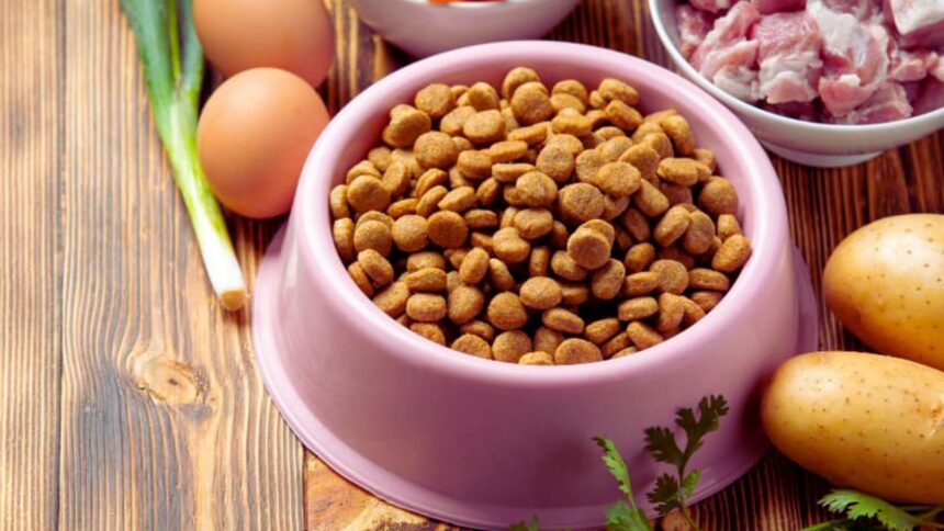 Best Ingredients for Homemade Cat Food: What Every Cat Parent Should Know