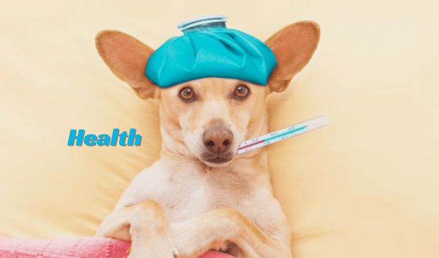 Health