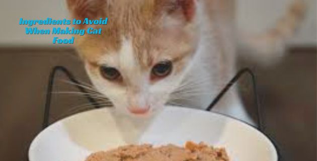 Ingredients to Avoid When Making Cat Food