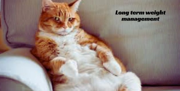 Long term weight management cat