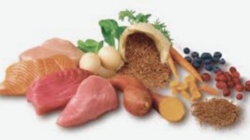 The Science Behind Fresh Cat Food