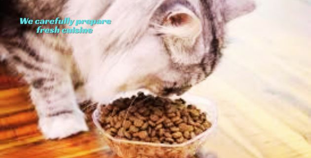 We carefully prepare fresh cuisine