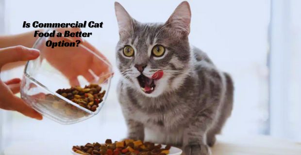 Is Commercial Cat Food a Better Option?
