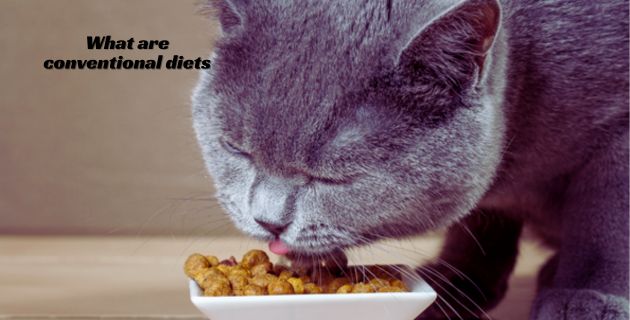 What are conventional diets