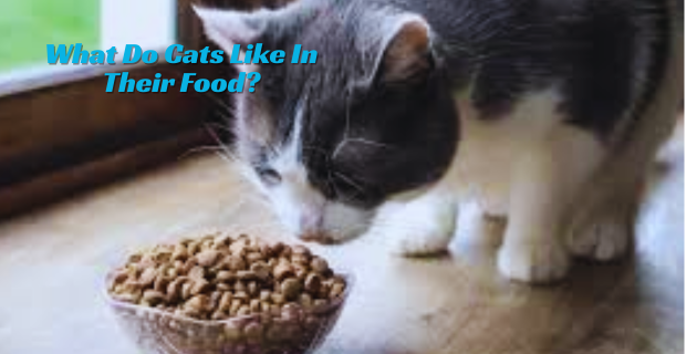 What do cats like in their food?