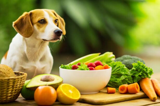 The Ultimate Guide to Purine Dog: Nutrition, Benefits & Feeding Tips\
